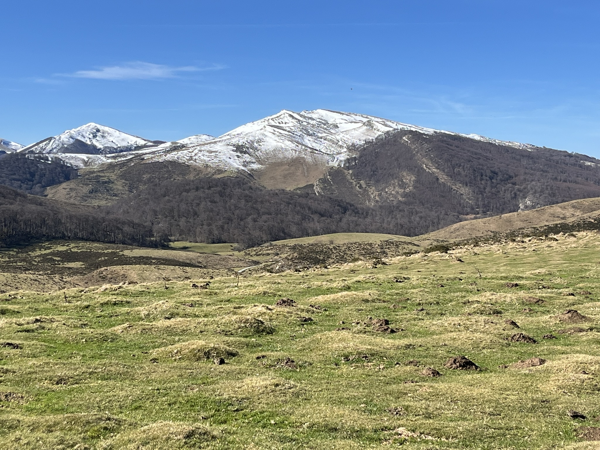 Harpea - Orbaizeta