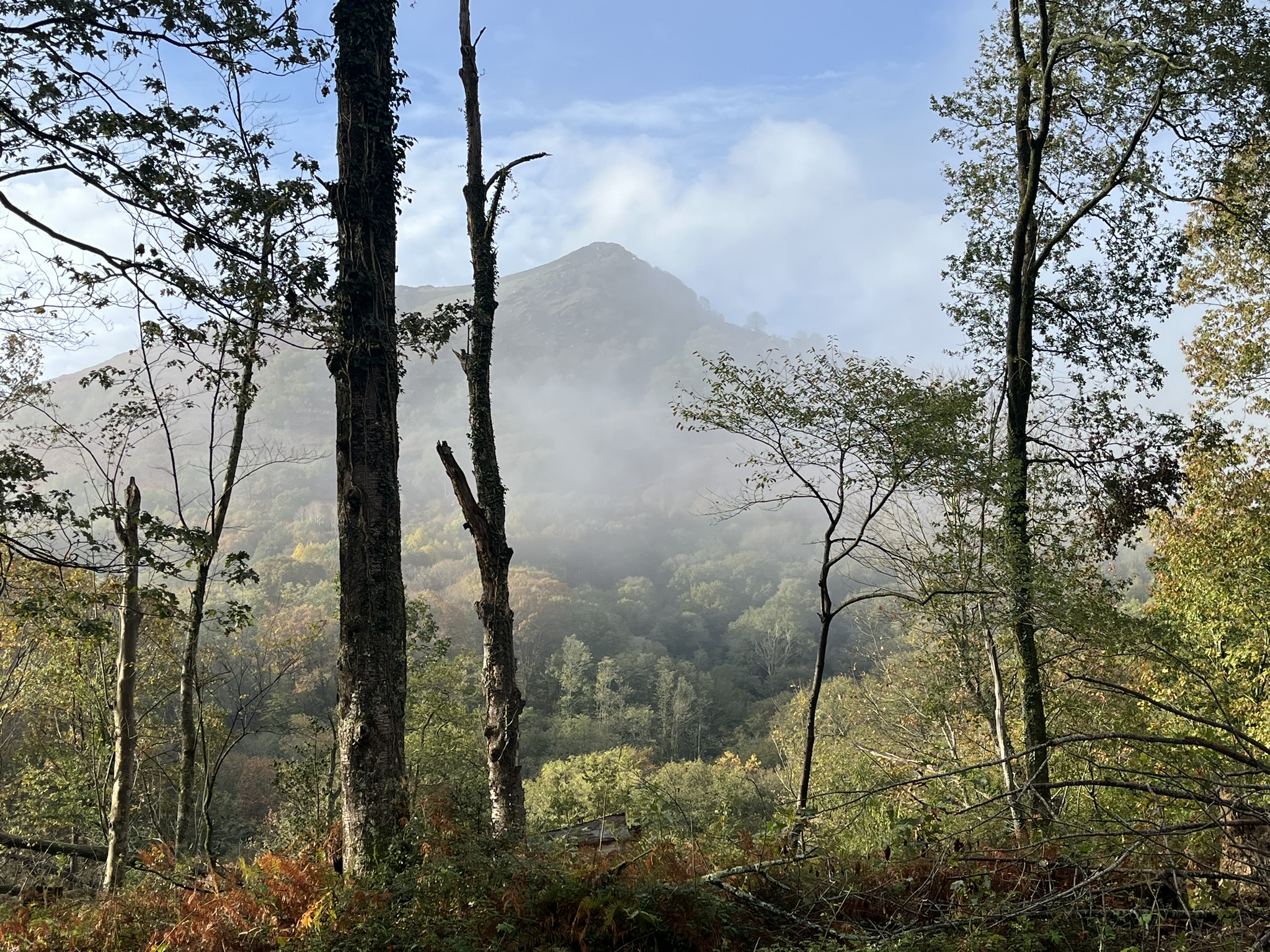 Ibantelli - Vue du bas
