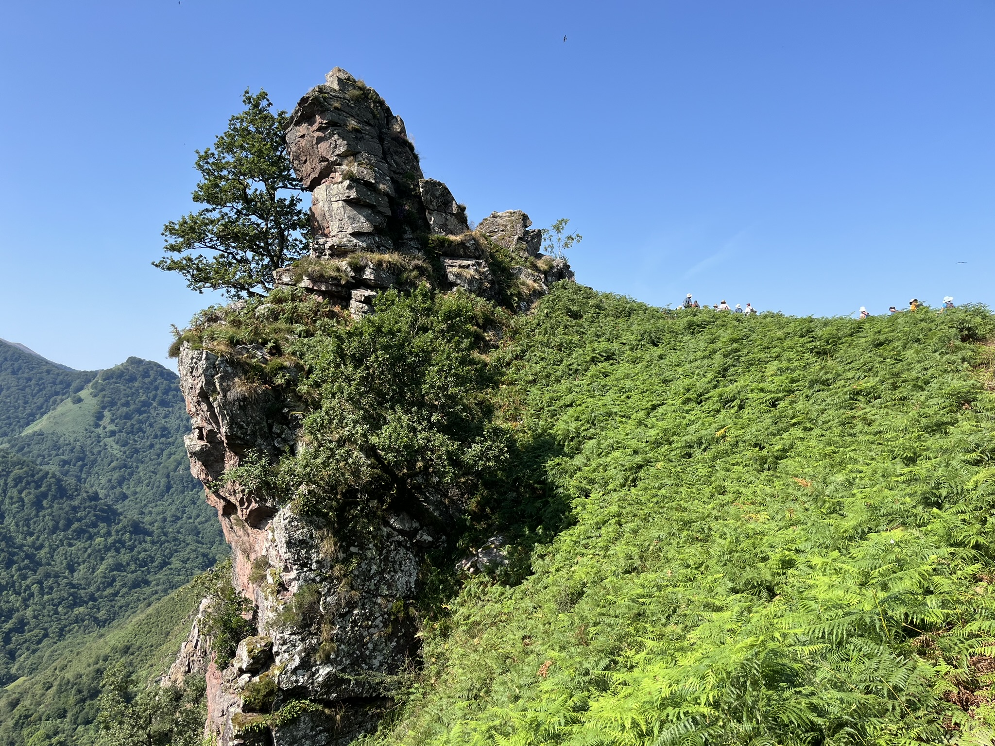 Peñas de Itsusi - Vue vautour